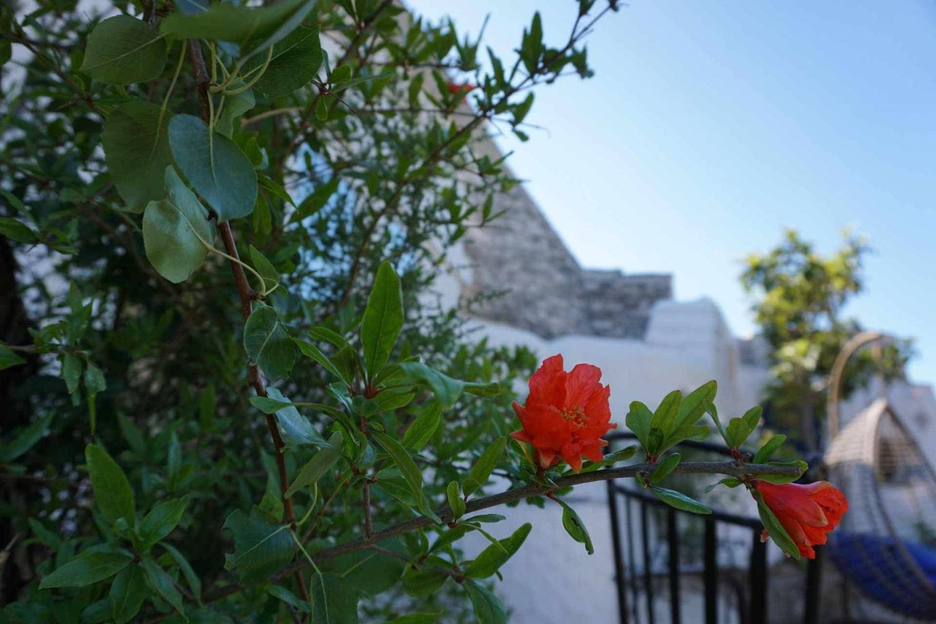 Trullo Biricchino Villa Ostuni Esterno foto